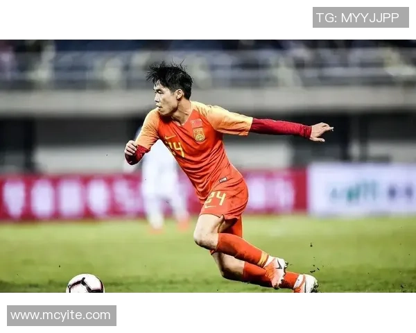 广州篮球队实力强劲跻身全国第八名引发关注与期待