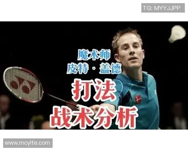 杭州羽毛球队战术分析与表现评估探讨